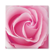 Magnet rosa Damen-Rose - Quadrat