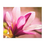 Magnolia rose toiles tendues sur châssis