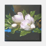 Magnolias sur le velours bleu - aimant