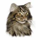 Maine-Waschbär-Katze Acrylausschnitt