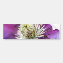 Makro lila Clematis-Blume Autosticker