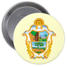 Manaus Amazonas, Brésil Pin's