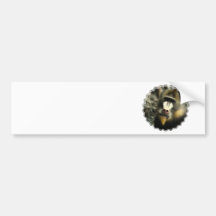 Mandrill font face à des adhésifs pour pare-chocs autocollants pour voiture