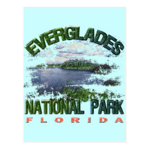 Marais parc national, la Floride Carte Postale