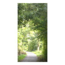 Märchenwald Foto Karten