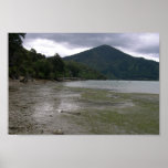 Marée basse dans des bruits de Marlborough Affiche
