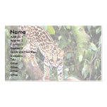 Margay (Felis wiedi) im Baum Visitenkarte