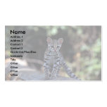 Margay (Felis wiedi) Kätzchen im Baum Visitenkartenvorlage