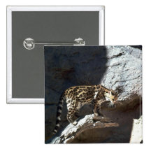 Margay Katze Anstecknadelbuttons