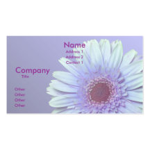 Marguerite de Gerbera Cartes De Visite Professionnelles