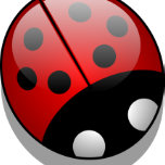 Marienkäfer Magnete