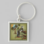 Matin olive Keychain de lémurs porte-clés