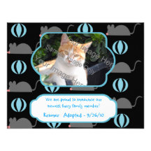 Mäusejungen-Katzen-Adoptions-Foto-Mitteilungs-Kart Personalisierte Ankündigungen