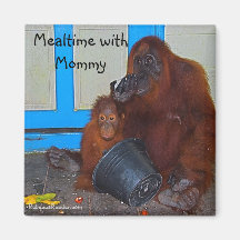 Mealtime mit Mama-Orang-Utan Magnete