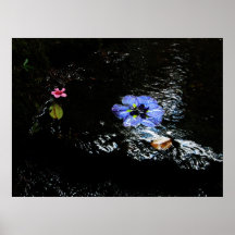 Meditation Plakatdrucke