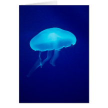 Méduses bleues de flottement carte