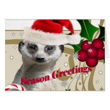 Meerkat Weihnachtskarten