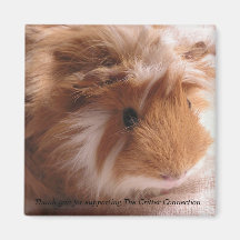 Meerschweinchen-Magnet #1 Kühlschrankmagnet