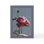 Merry Christmas - red rose with snow Card