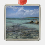 Mexiko, Cozumel, Punta Morena, die Ostküste 2 Weinachtsornamente