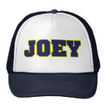 Michigan-Logoart, besonders für Joey Retrokult Cap