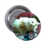Miezekatze Button