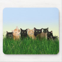 Miezekatzekatzen im Gras mauspads
