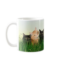 Miezekatzekatzen im Gras tassen