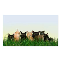 Miezekatzekatzen im Gras visitenkarten