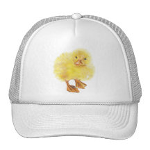 mignon, poussin de bébé casquette de camionneur