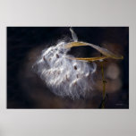 Milkweed Affiche
