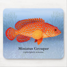 Miniatus Barsch-Riff-Fische Mousepad