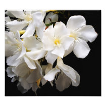 mit Blumen