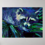Mitternachtsracoon Poster