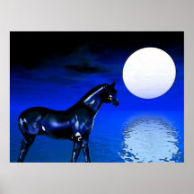 MitternachtsStallion Plakate