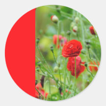 Mohnblume Runde Aufkleber