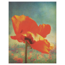 Mohnblumen-Plakat
