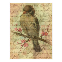 Moineau vintage cartes postales