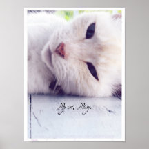 Mon chat posters