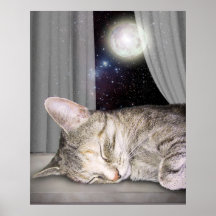 Mond-Katze Poster