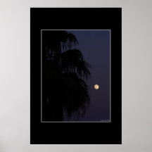 Mond-Palme Posterdrucke