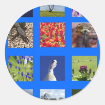 Montage bleu autocollant rond