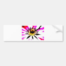 Montana Auto Sticker