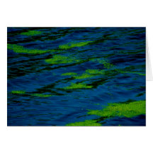Moos auf Wasser Karten