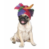 Mops Carmens Miranda