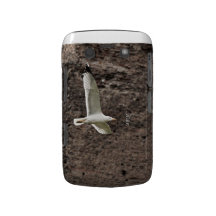 Mouette pilotant la caisse libre de Blackberry Coque Blackberry