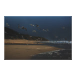 Mouettes de nuit impressions sur toile