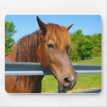 Mousepad de cheval tapis de souris
