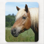 Mousepad de Haflinger Tapis De Souris
