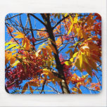 Mousepad - Herbstlaub mauspads